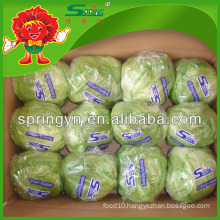 Top Quality Lettuce From the Mountains Iceberg Lettuce